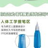 德国思笔乐0.38成长乐钢笔小学生三年级专用铱金笔尖墨囊mg【HZ】 商品缩略图3