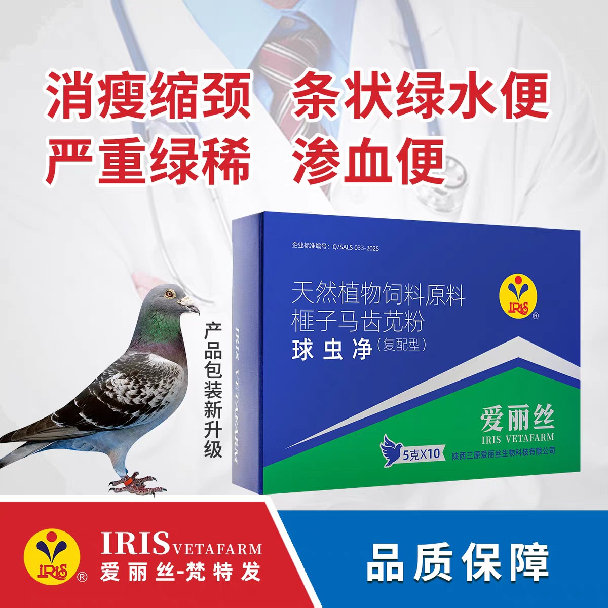 【球虫速灭净】粉5g*10袋，拉绿便/血便（爱丽丝）