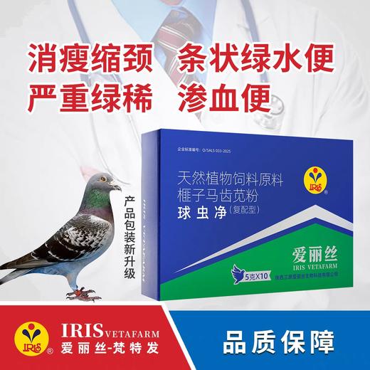 【球虫速灭净】粉5g*10袋，拉绿便/血便（爱丽丝） 商品图0