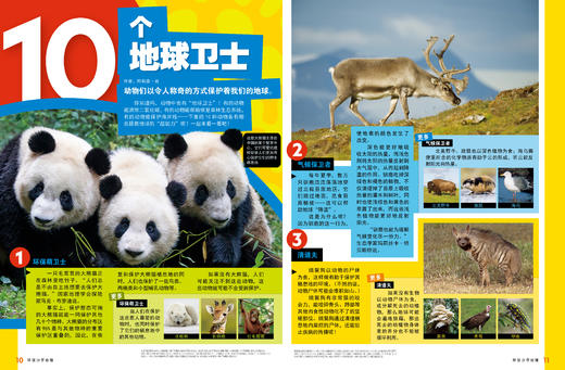 《环球少年地理KiDS》赠 送蜘蛛机器人 2026全年订阅，全12期 |国家地理出品，内容广博、精美摄影，1000+知识点，给孩子震撼心灵的智识盛宴 商品图8