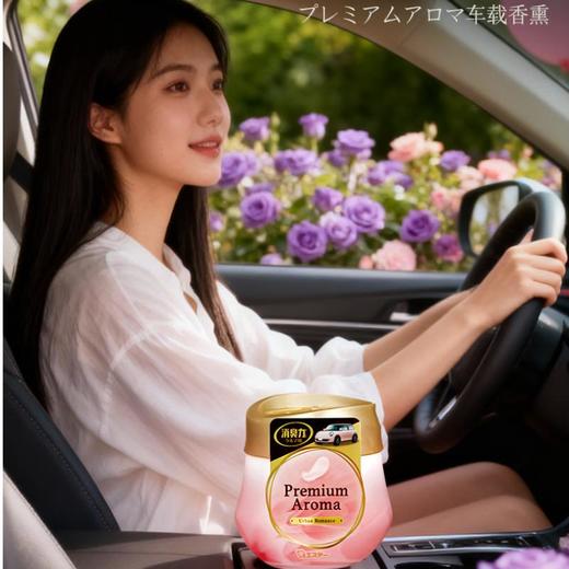 艾饰庭车用消臭力城市浪漫 90g 商品图1