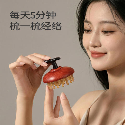 初心| 金桔舒络梳按摩梳缅甸花梨羊角 商品图1
