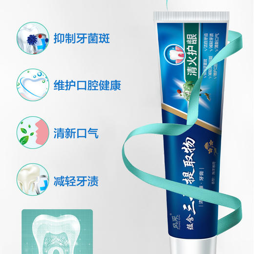 风采·清火护龈牙膏180g含三七提取物（海洋薄荷）60120 商品图2