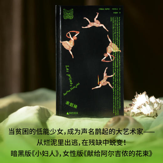 表姐妹（阿根廷）奥罗拉·本图里尼/著 李佳钟/著 拉美文学；女性成长；创伤；家庭 商品图8