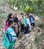 （黄埔）山野徒步挖水晶1日独立营 商品缩略图2
