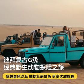 【迪拜•当地玩乐】迪拜复古G级经典野生动物探险之旅，沉浸于古老阿拉伯的魅力之中 穿越金色沙丘，尽享优雅旅程，捕捉壮丽景色~