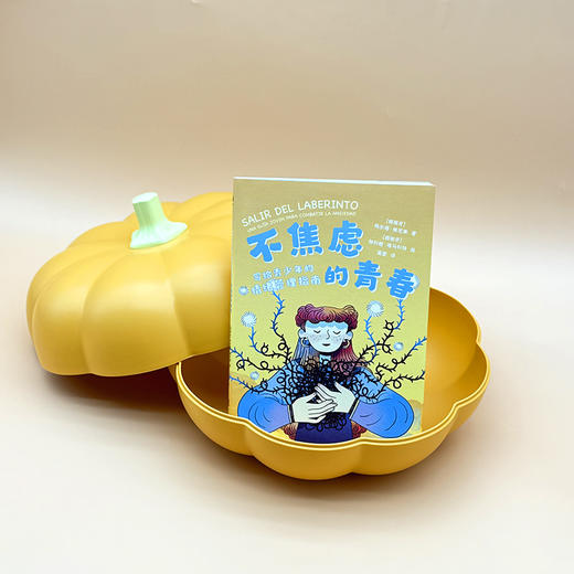 不焦虑的青春：写给青少年的情绪管理指南 商品图5