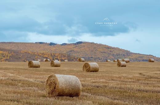 【大兴安岭・北极秋色10/13 天摄影团】兴安盟·阿尔山/呼伦贝尔·莫尔道嘎 / 漠河北极 商品图7