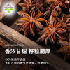 饮食派INSPIRATION SPICE大红八角 158g罐装 无硫熏秋果大料八角茴香火锅调料 调味品 /粮油调味 /调味品 /基础香辛料 商品缩略图1