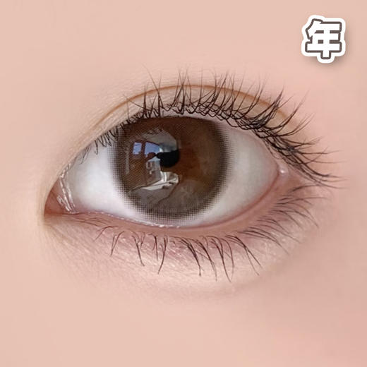 #LL35 氧分子 巧棕 14.0mm 素眸5代【1片装】舒适推荐 / 进口年抛 商品图0