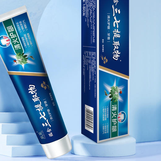 风采·清火护龈牙膏180g含三七提取物（海洋薄荷）60120 商品图3