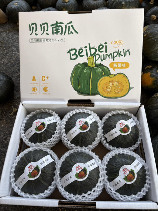 【贝贝南瓜】自家种植的日本原种黑绿小胖墩，晒足365天太阳，施有机肥，种出的【低糖贝贝南瓜】瓜肉干香绵密，蒸熟自带南瓜香！吃起来粉糯香甜！没有纤维感，肉质细腻! 商品图0