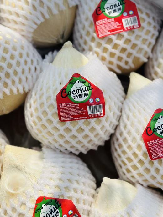 泰国进口COCO HERB奶香椰|椰汁清甜，富含电解质，直接插吸管喝超方便，也能做椰子鸡或甜品，健康又解渴~ 商品图0