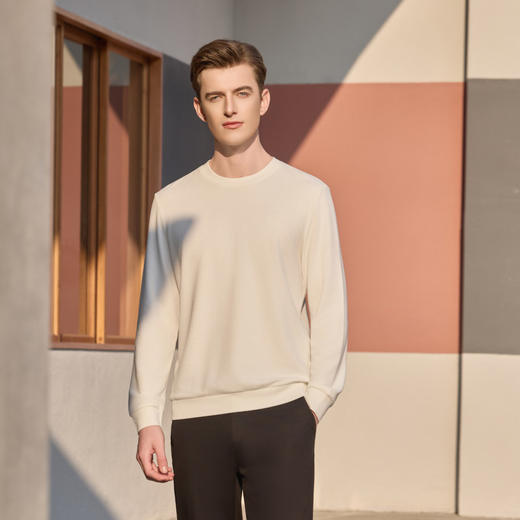 半身缘男装 春季天丝棉提花休闲圆领卫衣T恤261312M01110216 商品图1