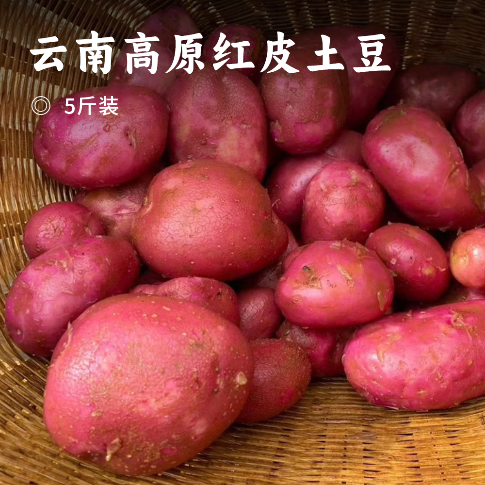 云南高原红皮土豆 | 19.9秒杀5斤！优质碳水！减脂必备！只选精品果 人工现挖现发！