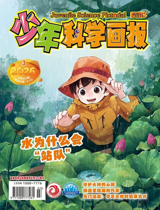 少年科学画报 2026年期刊订阅 商品图0