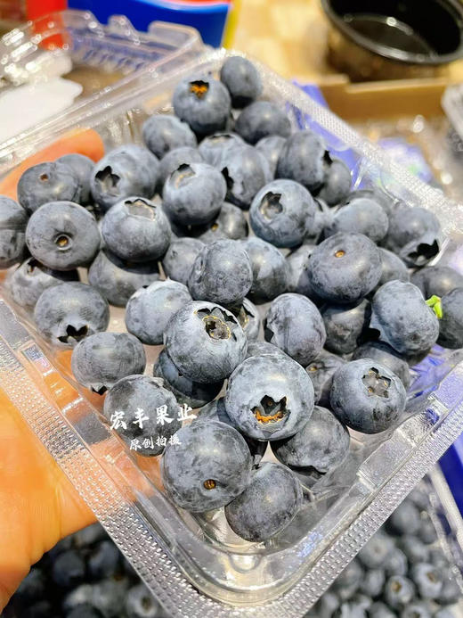 宏丰精选  云南纯甜蓝莓，果粉足，纯甜，活动价9.9一盒 商品图2