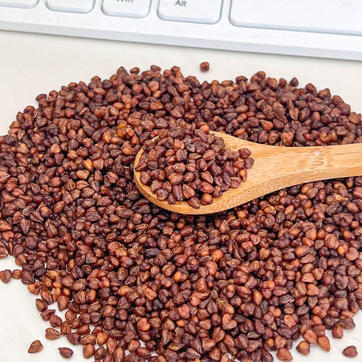 【买1送1】四川大凉山黑苦荞茶 250g/罐 商品图5