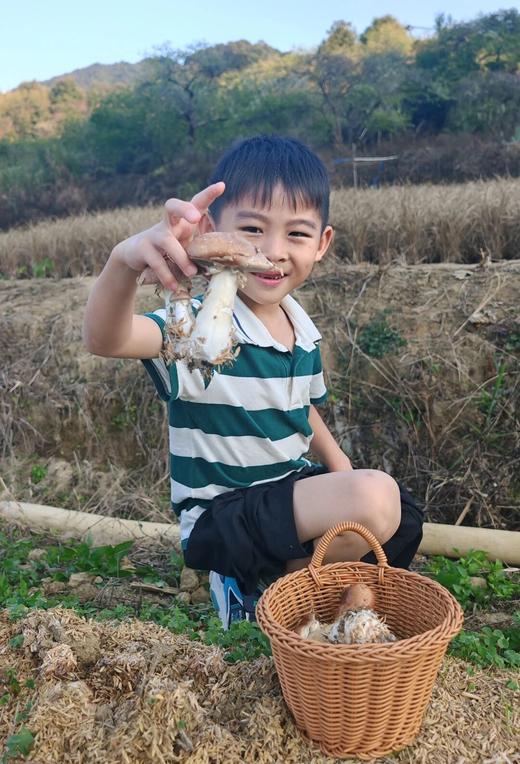 春日从化野趣1日营 商品图0