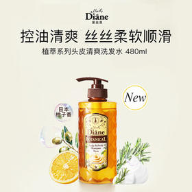 黛丝恩植萃头皮清爽洗发露留香控油洗发水480ml /个人护理 /洗发护发 /洗发水