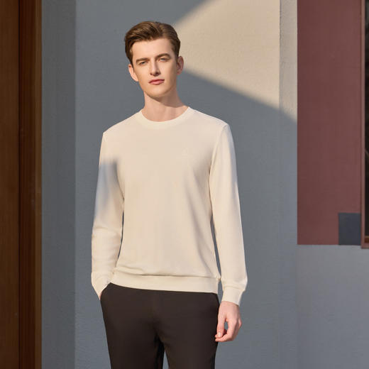 半身缘男装 春季天丝棉提花休闲圆领卫衣T恤261312M01110216 商品图0