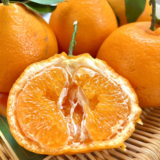 石家庄优选仓库速达，糖包&春见耙耙柑，果肉细腻，颗粒分明，清甜爆汁，入口化渣，净重6.5-6.8斤礼盒装 商品图5