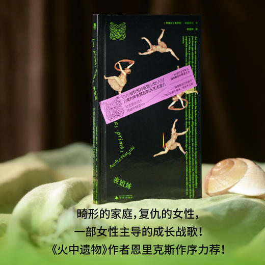 表姐妹（阿根廷）奥罗拉·本图里尼/著 李佳钟/著 拉美文学；女性成长；创伤；家庭 商品图2
