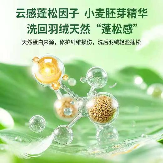 水卫士羽绒服清洗剂 商品图2