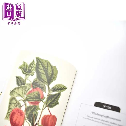 预售 【中商原版】水果 英国皇家植物园口袋书系 Kew Pocketbooks Fruit 英文原版 Royal Botanic Gardens 邱园自然百科 商品图4