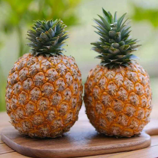 贝壳-芒果凤梨   芒果的浓香 × 凤梨的清甜 一香二甜 风味浓郁有层次 果肉细腻化渣，不塞牙 商品图4