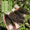 新鲜羊肚菌云南特产头茬新货精品现采菌菇羊肚菌非野生 商品缩略图1