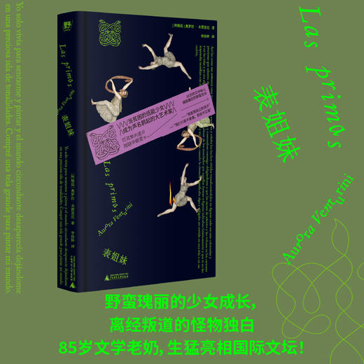 表姐妹（阿根廷）奥罗拉·本图里尼/著 李佳钟/著 拉美文学；女性成长；创伤；家庭 商品图1