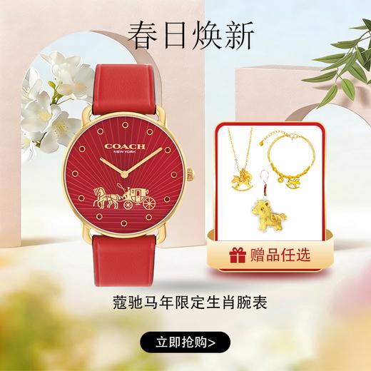 春日限定【抢先购】「送马上有钱手链+马上有钱项链+礼盒」蔻驰ELLIOT系列马年限定生肖腕表+礼盒 商品图0