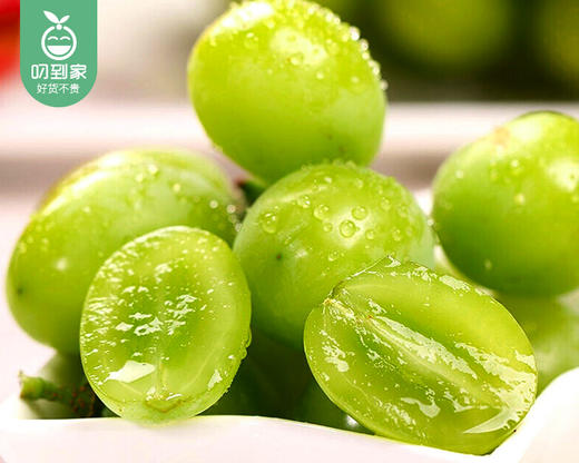 秘鲁秋天脆无籽青提（3J级）/1份（500g±20g） 商品图1