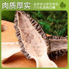 新鲜羊肚菌云南特产头茬新货精品现采菌菇羊肚菌非野生 商品缩略图2