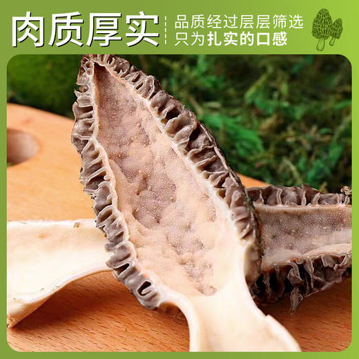 新鲜羊肚菌云南特产头茬新货精品现采菌菇羊肚菌非野生 商品图2