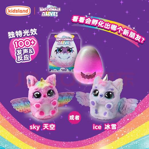 【春上新】8楼 乐高  哈驰魔法蛋 吊牌价699元 商品图1