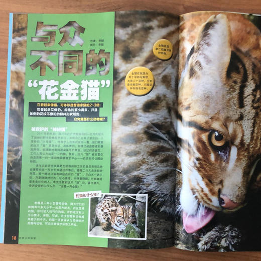 《环球少年地理KiDS》赠 送蜘蛛机器人 2026全年订阅，全12期 |国家地理出品，内容广博、精美摄影，1000+知识点，给孩子震撼心灵的智识盛宴 商品图3