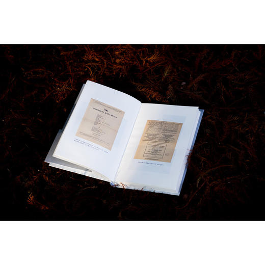 夜：格言与随笔 1912—1919 [奥地利]卡尔·克劳斯/著 吴秀杰/译 北贝 讽刺 维也纳 一战 商品图7