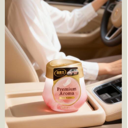 艾饰庭车用消臭力城市浪漫 90g 商品图0