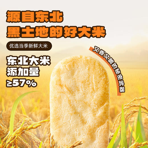 【孕味秒杀专属】小鹿蓝蓝 DHA脆脆香米饼120g 内含20袋 商品图1