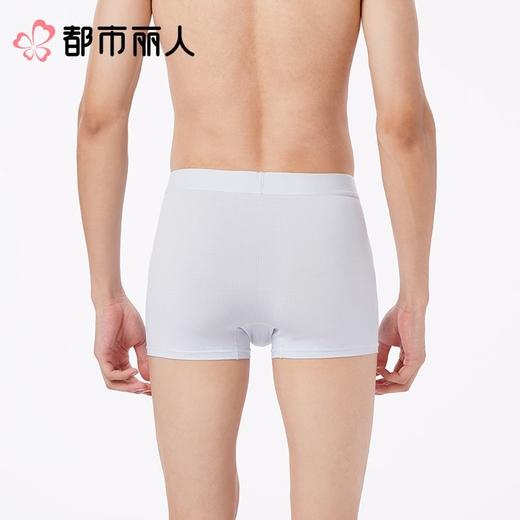 都市丽人内裤男士内裤冰丝内裤锦纶平角内裤明筋内裤FKCC13 商品图2