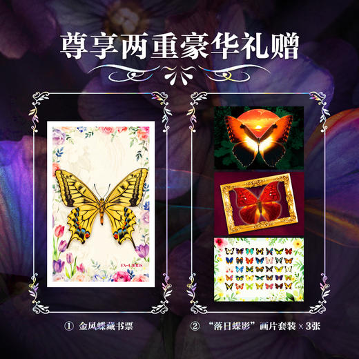 世界蝴蝶全书（无刷边版） 商品图1