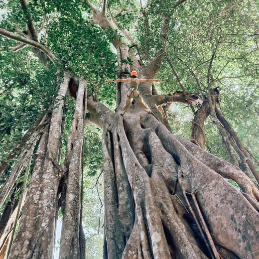 【暑假】何以版纳，当自然王国开始说话【树语】6天5晚 商品图3