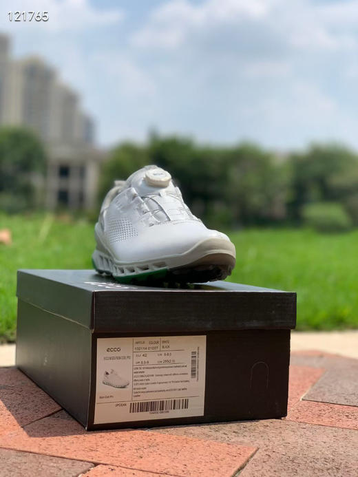 外贸原单爱步高尔夫球鞋男士golf无钉鞋BOA锁扣 免糸带 健步透氧牦牛皮球鞋
码数:39 40 41 42 43 44 (标准皮鞋码) 商品图1