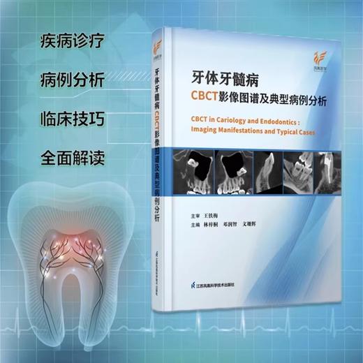 牙体牙髓病CBCT影像图谱与典型病例分析 商品图0
