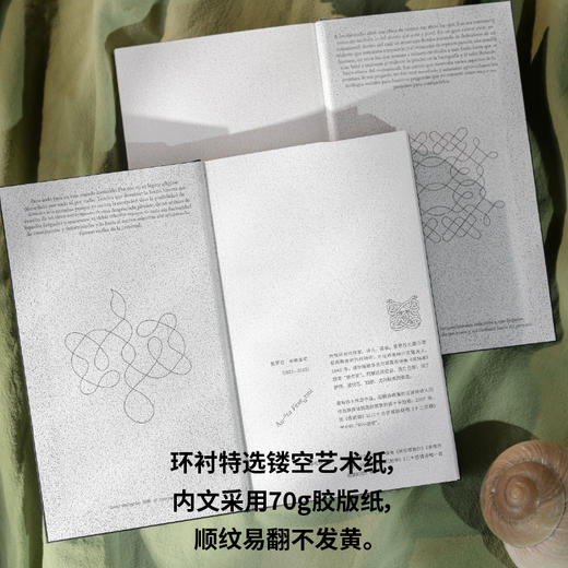 表姐妹（阿根廷）奥罗拉·本图里尼/著 李佳钟/著 拉美文学；女性成长；创伤；家庭 商品图4