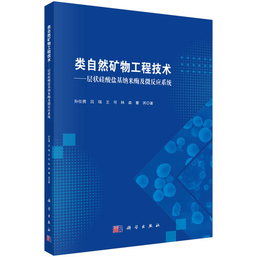类自然矿物工程技术——层状硅酸盐基纳米酶及微反应系统 商品图0