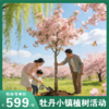 周末植树活动来啦！亲子种植海棠树、特色铁锅炖、草莓采摘、古法磨坊体验、风筝DIY等！另送年卡！植一抹新绿，守护青山绿水！ 商品缩略图0