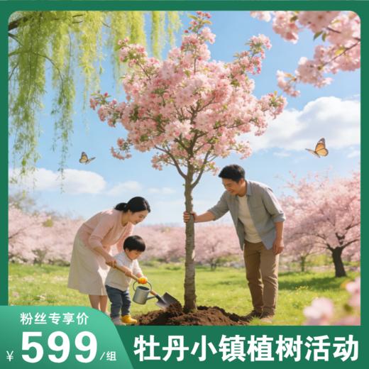 周末植树活动来啦！亲子种植海棠树、特色铁锅炖、草莓采摘、古法磨坊体验、风筝DIY等！另送年卡！植一抹新绿，守护青山绿水！ 商品图0